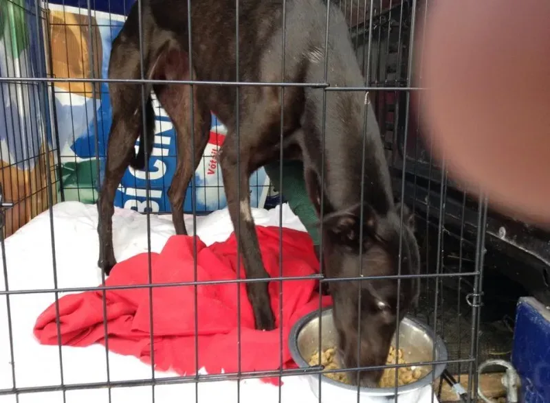 10934716 10152495694700194 1854525289 n