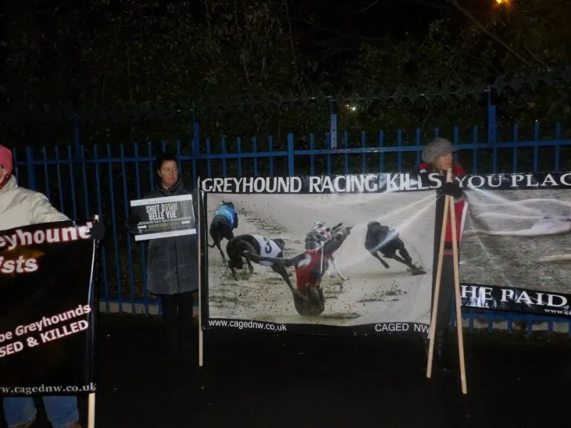 10941868 904662186245261 4505603464093489267 n