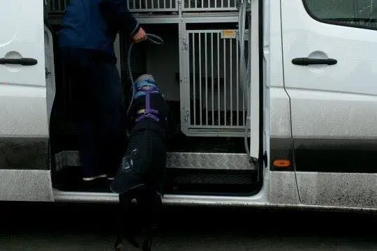 10945376 785489208201603 2911492580498832026 n