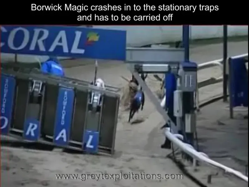 10945909 804688326251001 2458792912878964057 o1