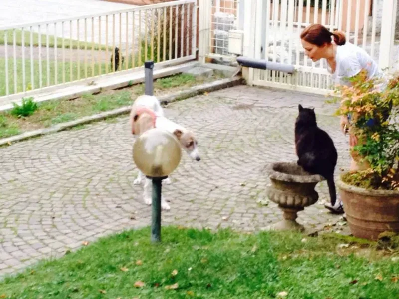 10947354 766743653409492 6505217033986140309 n