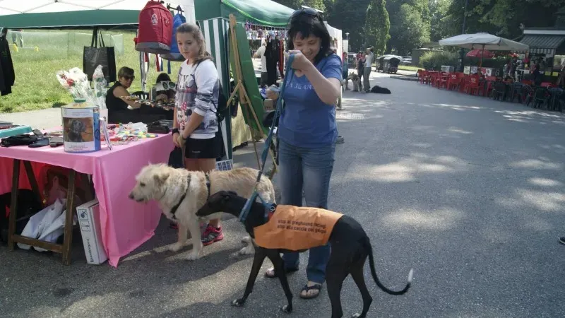 10947414 963605626993996 1125913729158286506 o