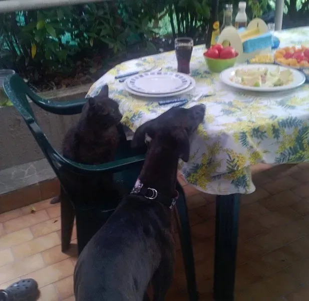 10952402 775562439194280 2871384164589336038 n