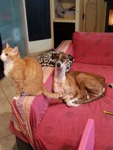 10953200 783759548374569 137626158451450316 n