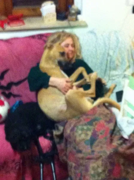 10956264 902062433147649 9040357645350863541 o