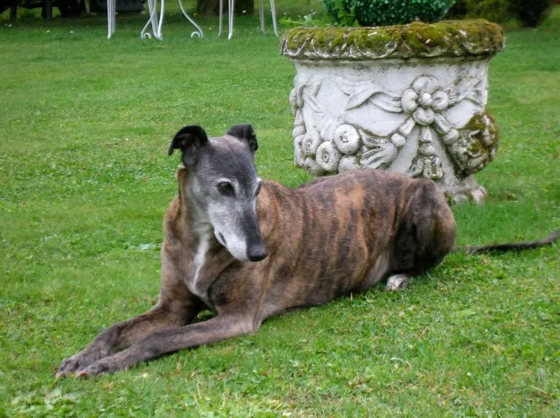 10957188 637342299742478 4007690620472960991 o