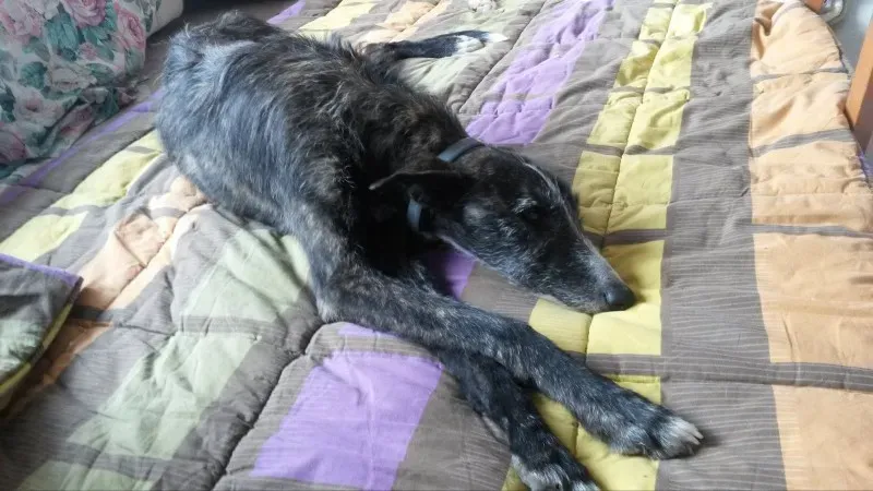 10957471 878590022161380 1536811543 o