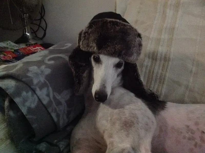 10959826 10205059674484366 958430915867691980 n