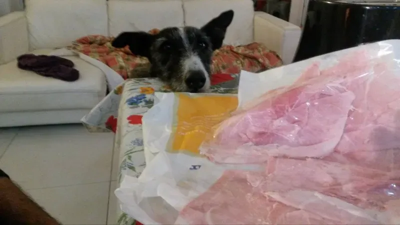 10960623 876534712366911 1097858514 o