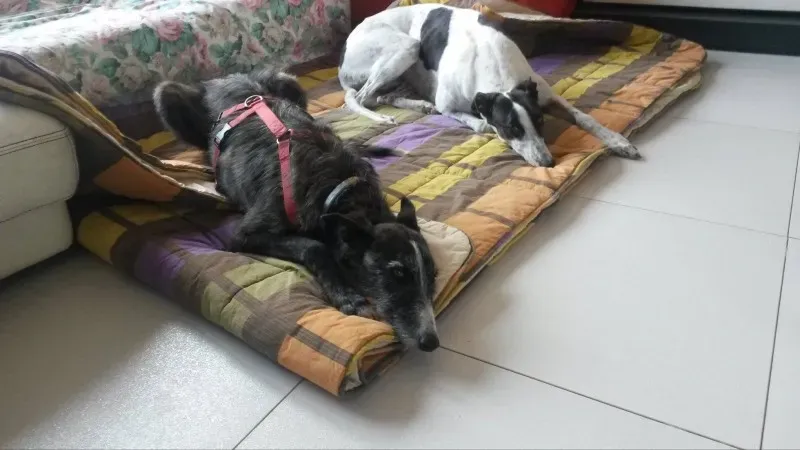 10960963 877918032228579 1068101772 o