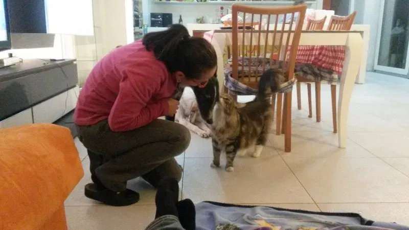 10961020 873294359357613 659028512 o