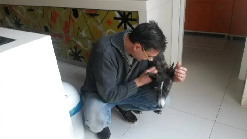 10964694 873184722701910 360984464 o