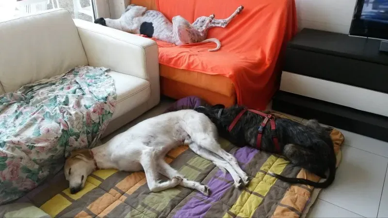 10965001 878250835528632 988925201 o