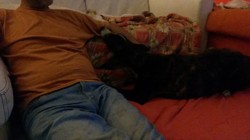 10965203 875188069168242 1520001752 o