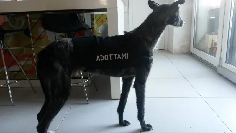 10967172 873611295992586 195364280 o