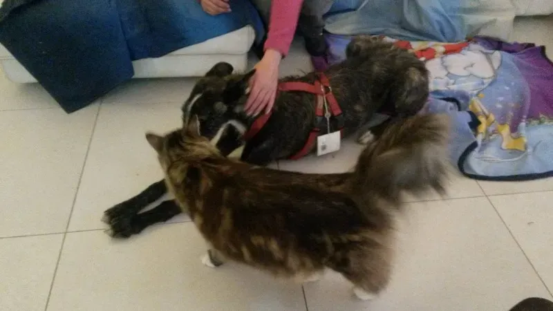 10967185 873298189357230 958522124 o