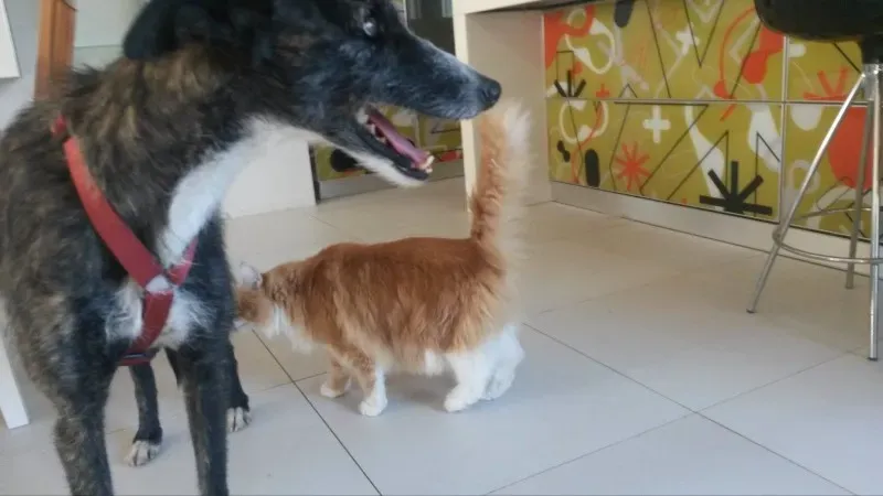 10967216 873554622664920 1870000276 o