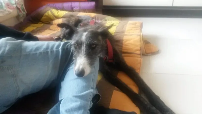 10967395 877466822273700 2089235025 o