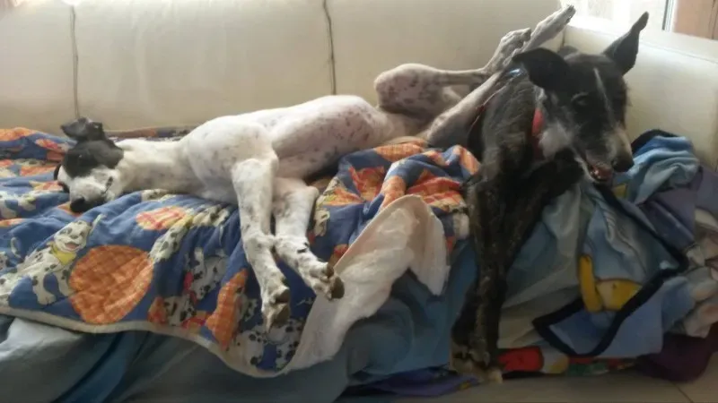 10967538 873561449330904 1657834117 o