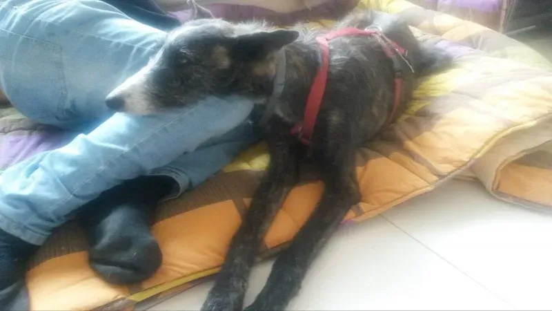 10967695 877466768940372 1472992932 o