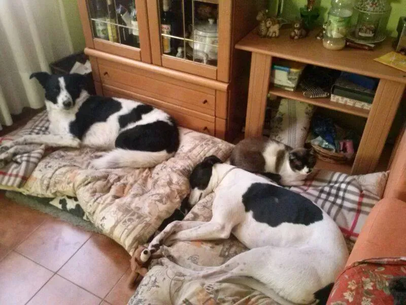 10968441 775564589194065 4787129017996116051 n