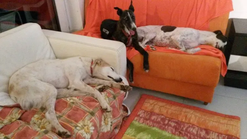 10969135 873752639311785 1658641526 o