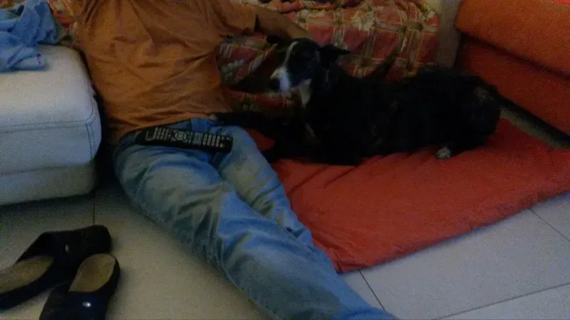 10969173 875187372501645 1231119665 o