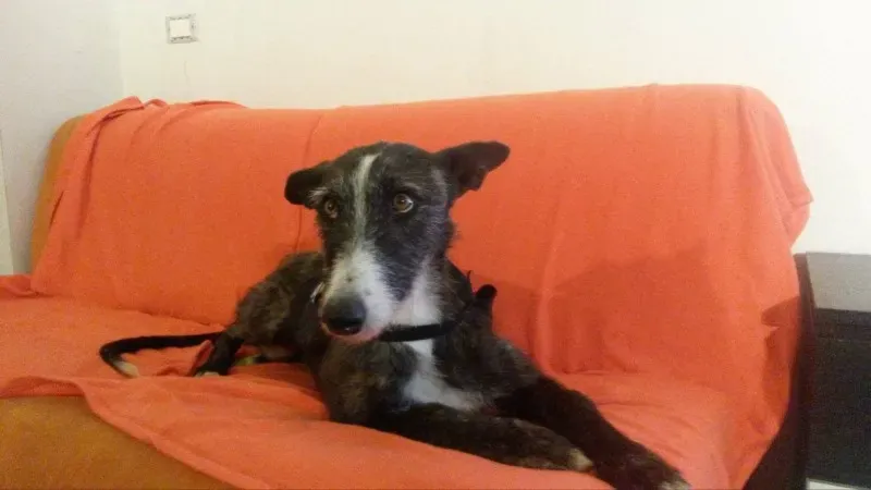 10969312 874636962556686 989422825 o