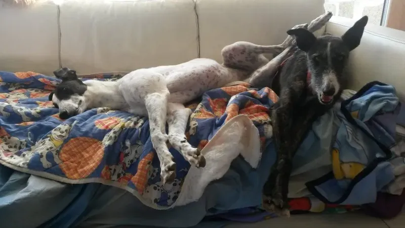 10970404 873561562664226 140427806 o