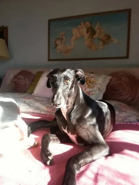 10974301 10205146204008502 5685687958241189019 o2