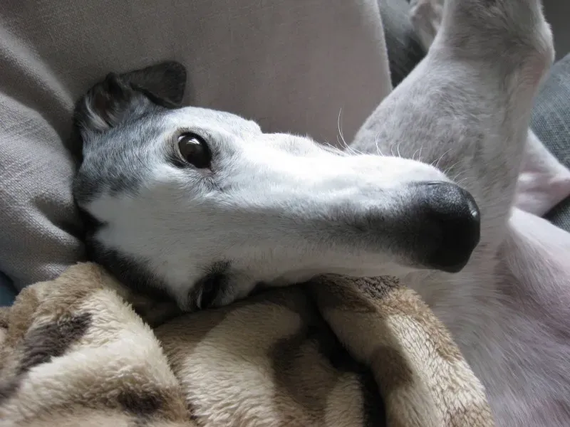 10974707 10205201218583058 1744873921291404562 o