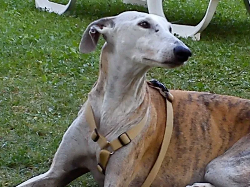 1097622 380605625399186 739127274 o