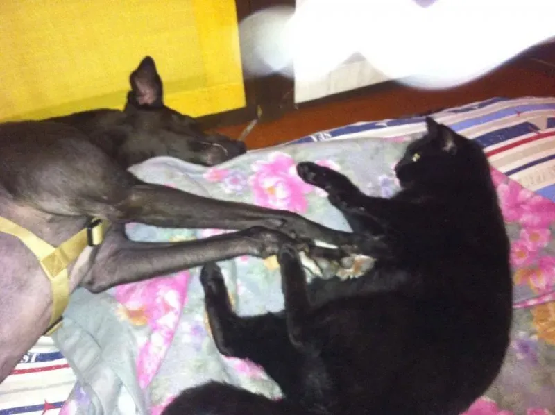 10978504 775564312527426 216652310680584546 n