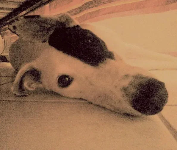 1098034 10201272121998440 1842032853 n