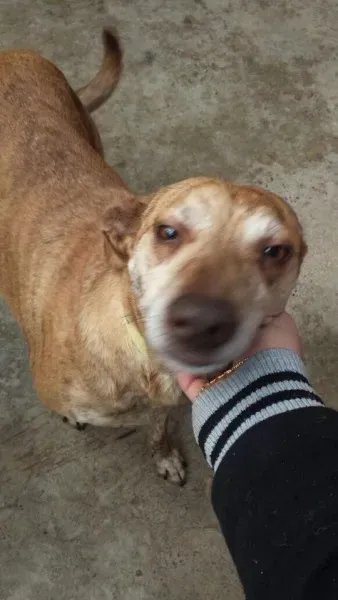 10981955 785489078201616 1124773580135210554 n