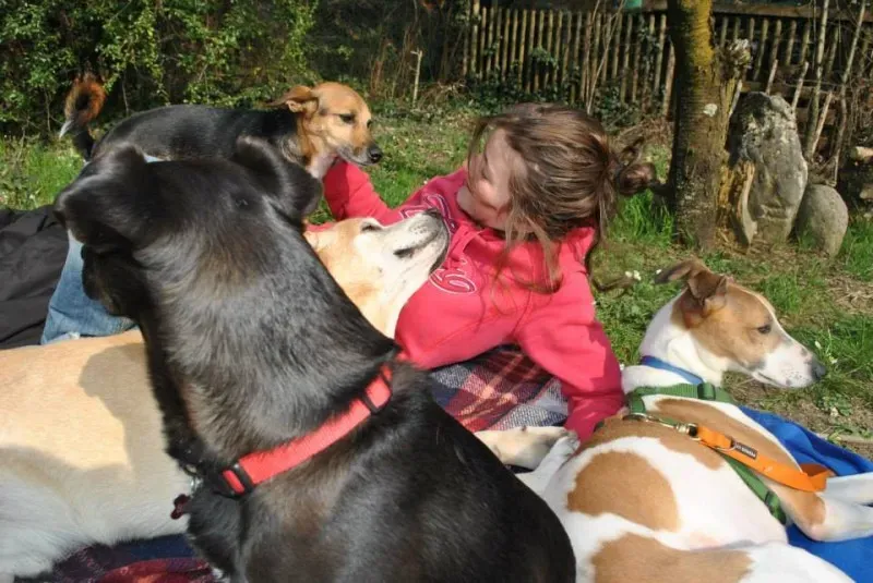 1098234 646146495446526 1603441822 n