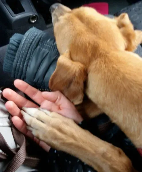 10983206 10205100811472589 3363303219229198289 n