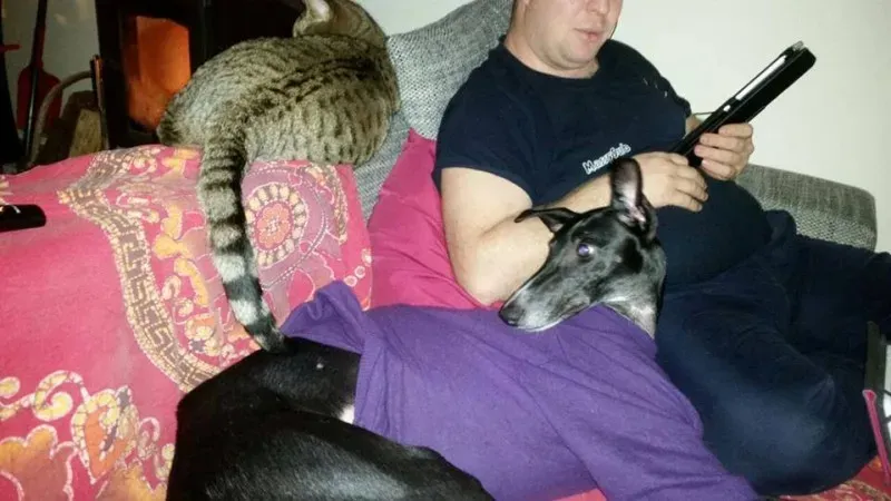 10984162 775564559194068 5670296849543225650 n