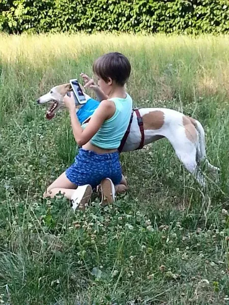 10984562 1578787302387568 1929665122091600250 n