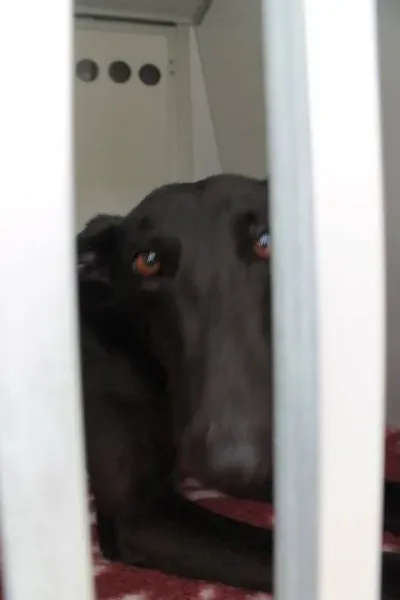 10985462 1014949575189408 7711010888671674879 n