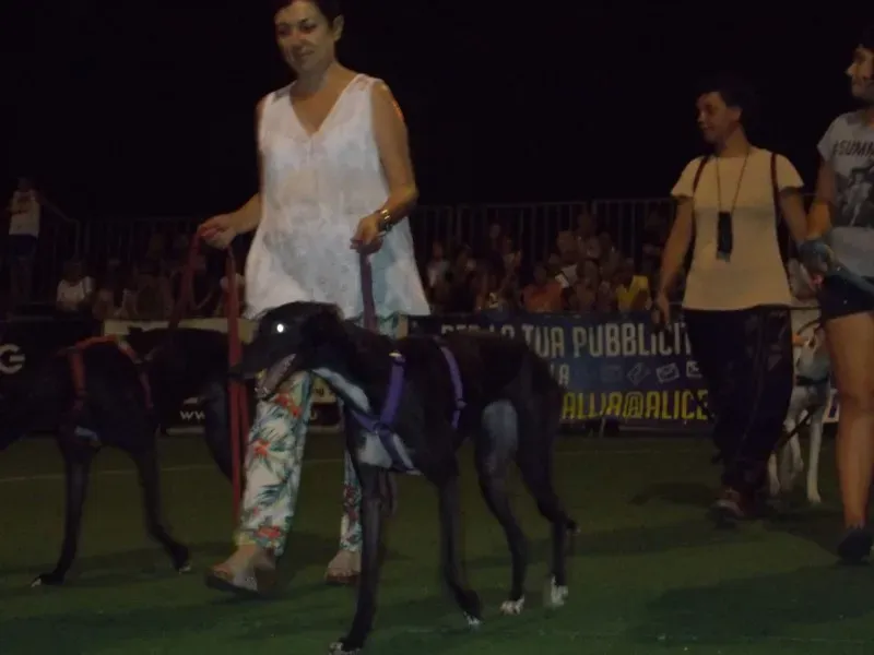 10986816 10203316966765163 896754630575933680 o