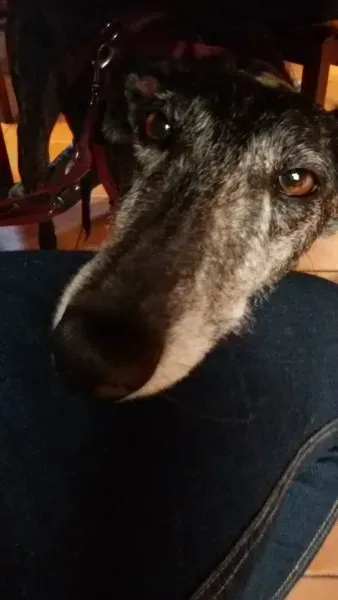 10987320 10206302942560760 7073187001114633550 o