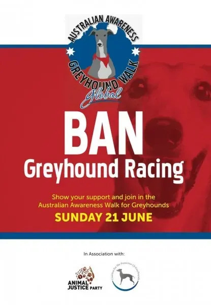 10988481 1438733519767717 6829404109202929969 o