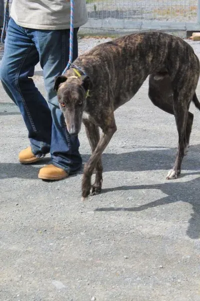 10988589 1014946578523041 5480594325153086691 n