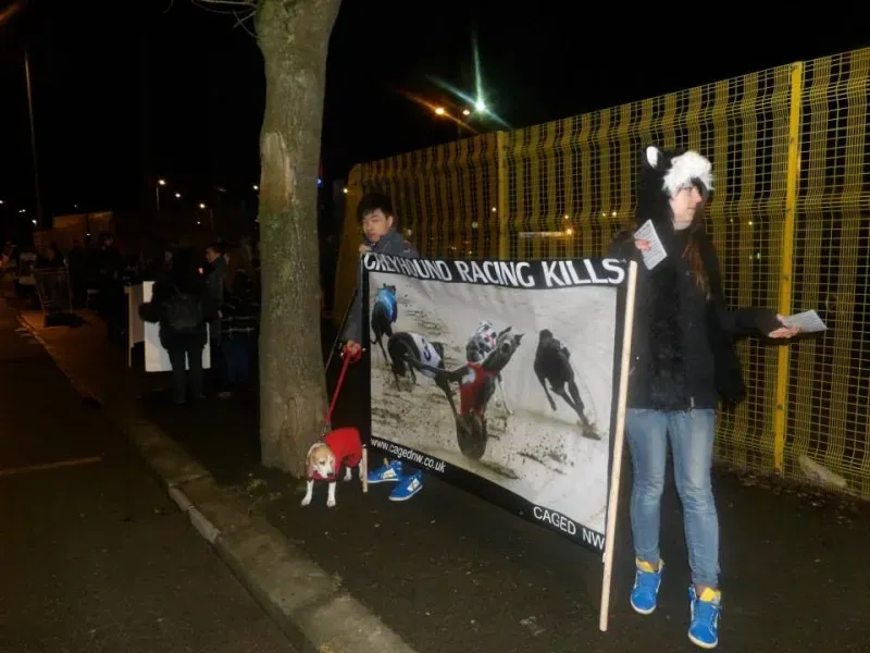 10988931 904663196245160 4376767132350078384 n