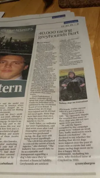 10991103 716921485072314 4131404119369703512 n