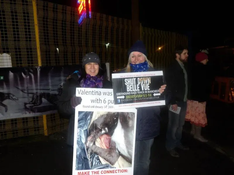 10991324 904662986245181 6486462594525530669 n