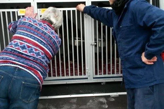 10993102 785489244868266 2753126926061099414 n