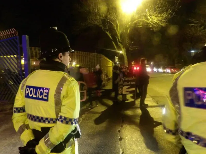 10993135 904663512911795 4451472555624590300 n