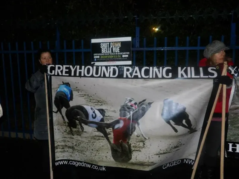 10993498 904662606245219 5755796461260287761 n